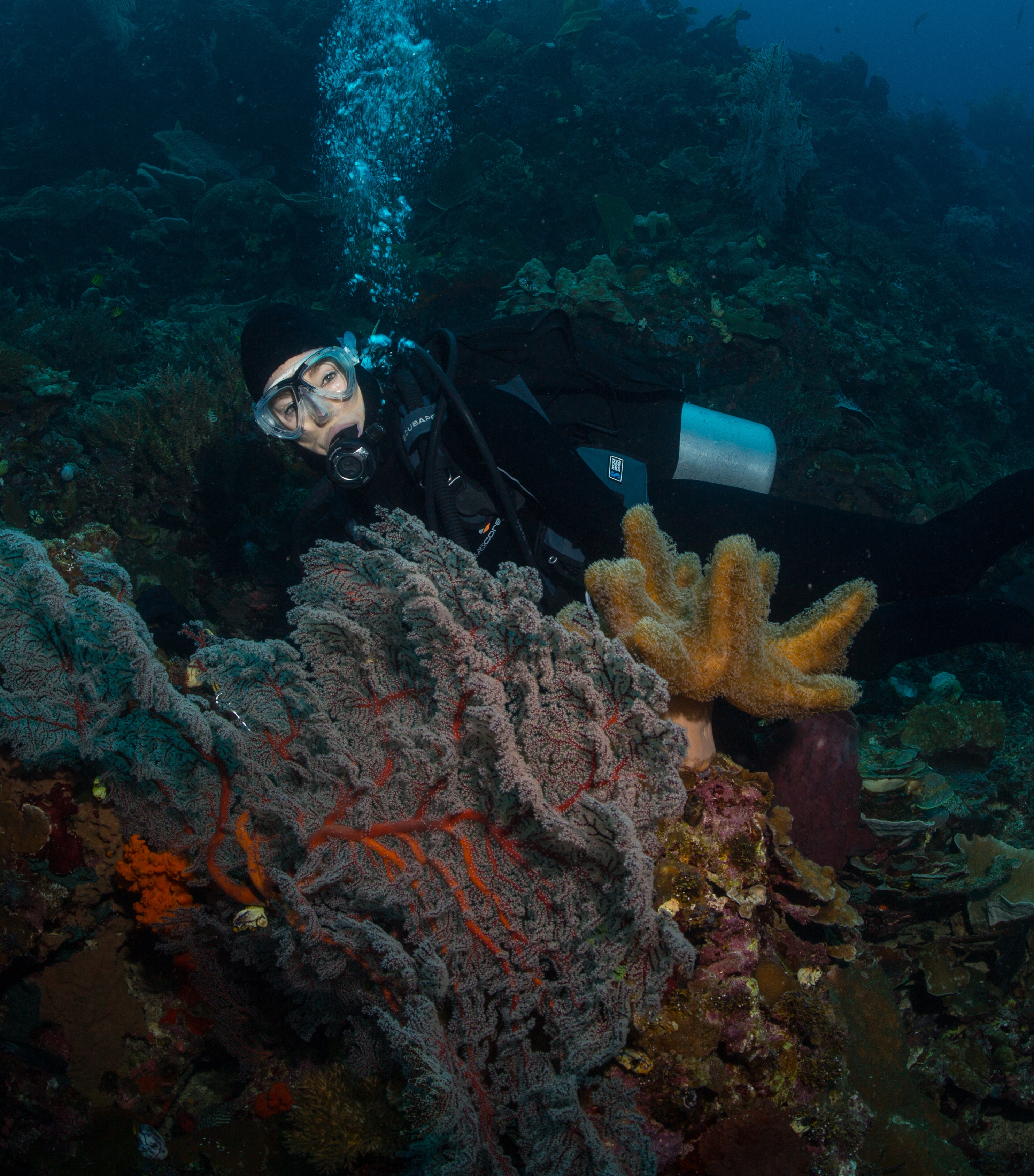 656f51e63b7e5bc9e7ad9efd